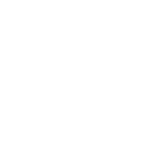 Sportmaster_logo